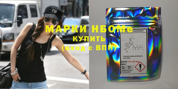гидра Бородино