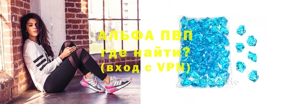 гидра Бородино