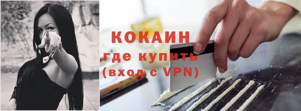 гидра Бородино