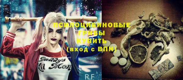 гидра Бородино