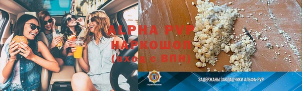 гидра Бородино