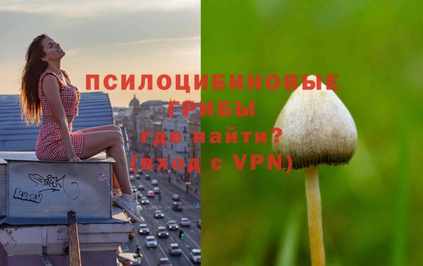 хмурый Бронницы