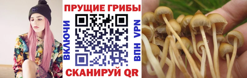 Галлюциногенные грибы прущие грибы  Городище 
